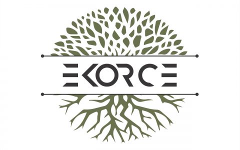 Ekorce - logo musicien - Janice Rihouay